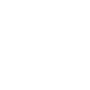 AVAA Auctioneers and Valuers Association Australia